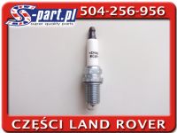 NLP100290L